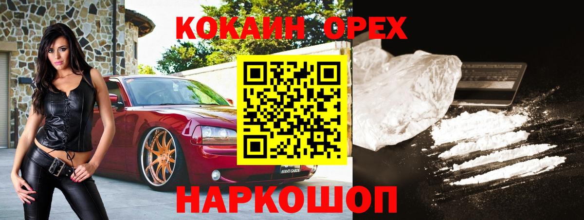 Галлюциногенные грибы Балтийск