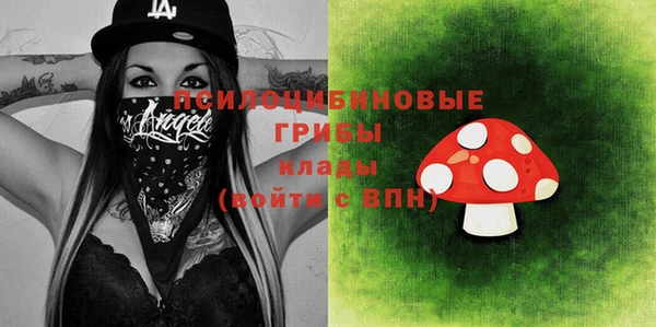 индика Вуктыл