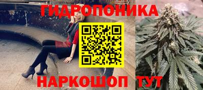 стаф Донецк