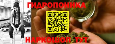 стаф Донецк