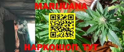 спиды Донской