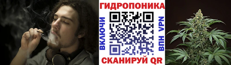 Конопля White Widow  Балтийск 