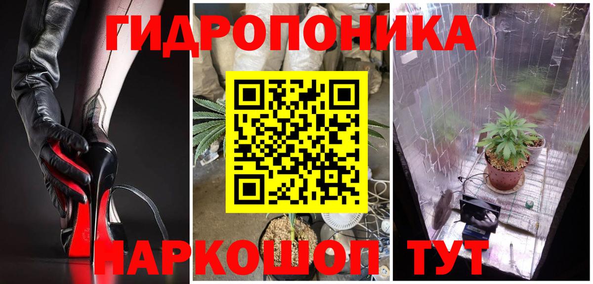 Балтийск  Канабис OG Kush  Каннабис индика  Канабис THC 21%  Вход с VPN  Канабис Amnesia 